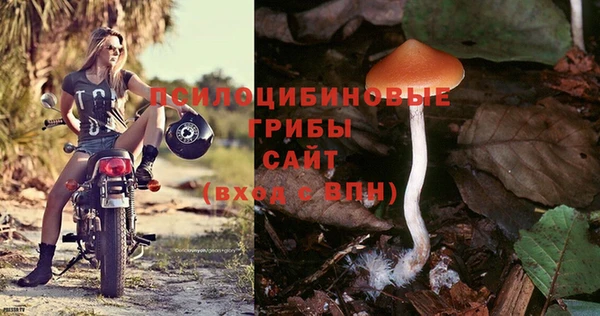 винт Ступино