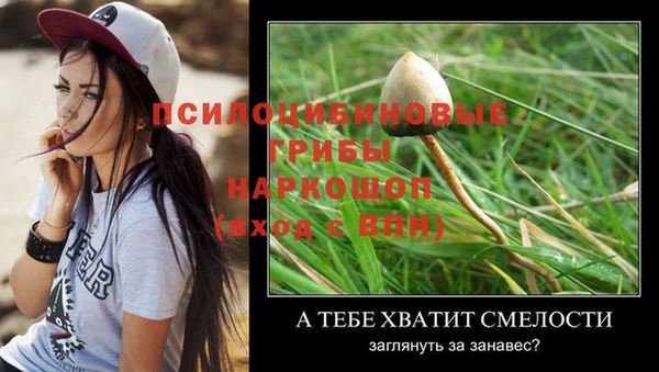винт Ступино