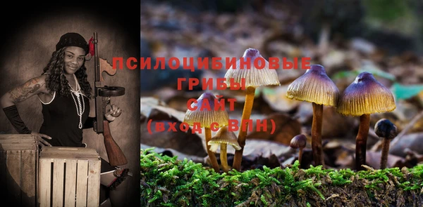 spice Строитель