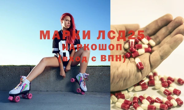 spice Строитель