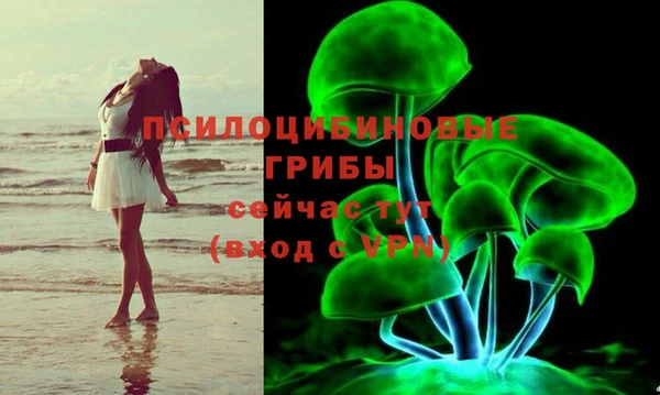 spice Строитель