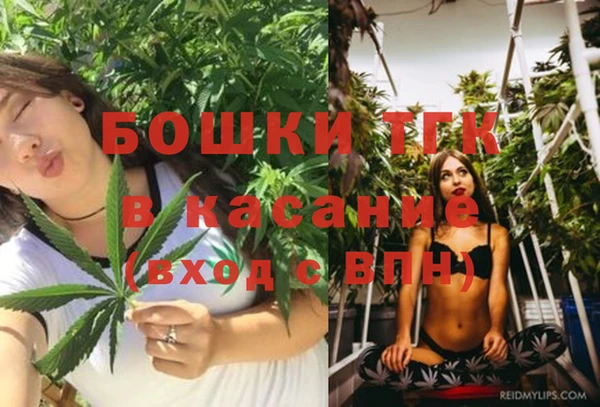 spice Строитель