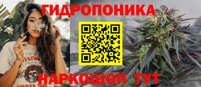 метадон Аргун