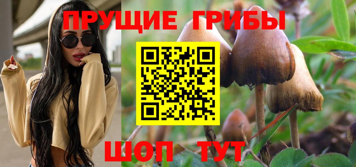 Барнаул  Псилоцибиновые грибы Cubensis  Вход с VPN 